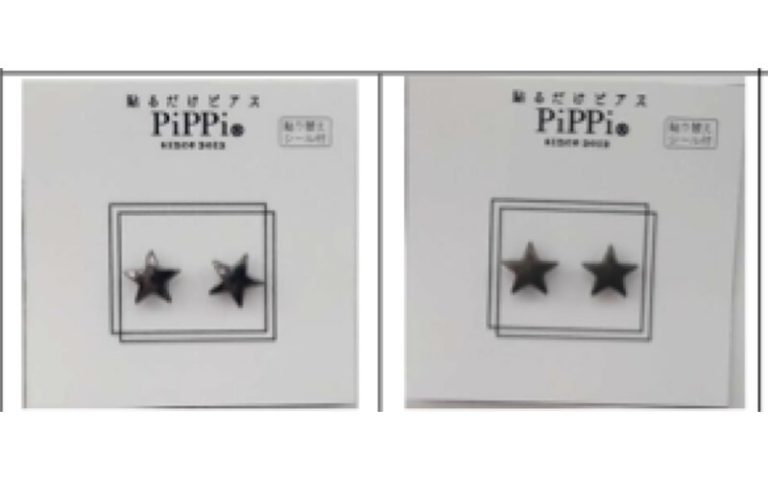 メタル PiPPiのカタログ誌面